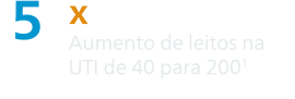 Métrica cinco