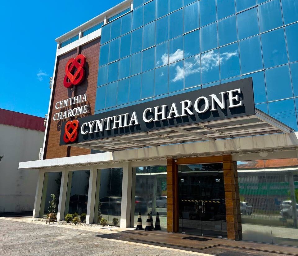 alt text for main image