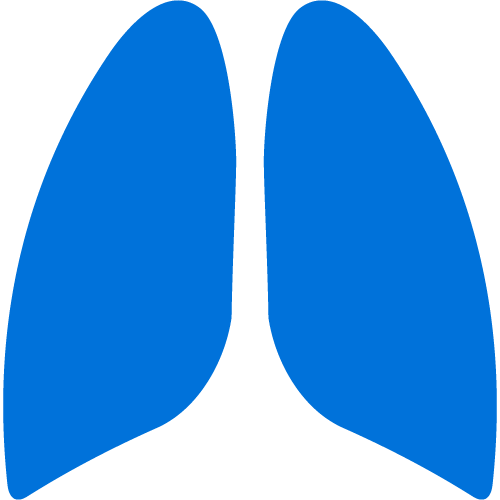 Lung icon