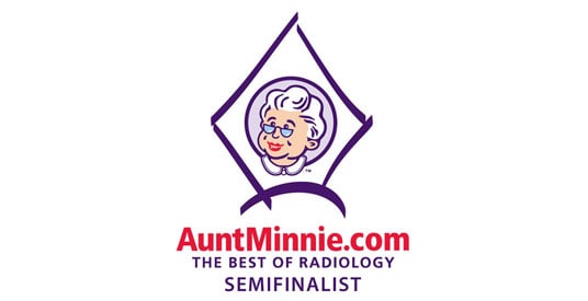 Prêmio de semifinalista da Aunt Minnie