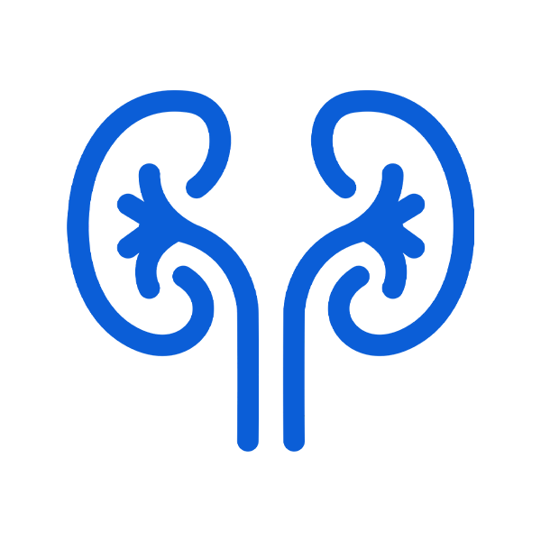 Dra. Ver&oacute;nica Espinosa Cruz