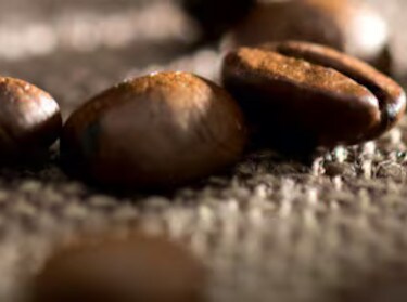 Grãos de café orgânico