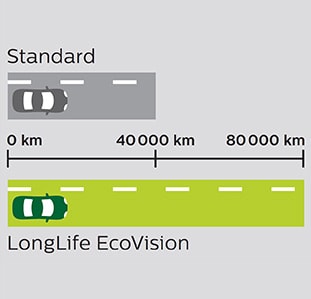 Ecovision comp