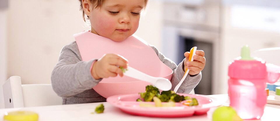 Prato para Bebê: Comer para Crescer