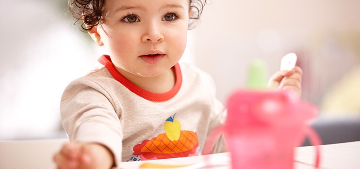 Philips AVENT - Toddler food - a balanced diet