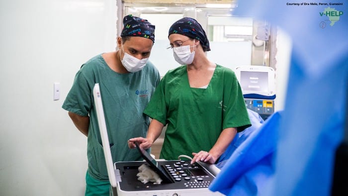 innovation in vascular care to mato grosso